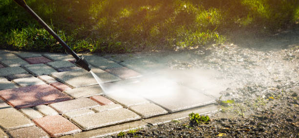 Best Animal Enclosure Cleaning  in Curwensville, PA